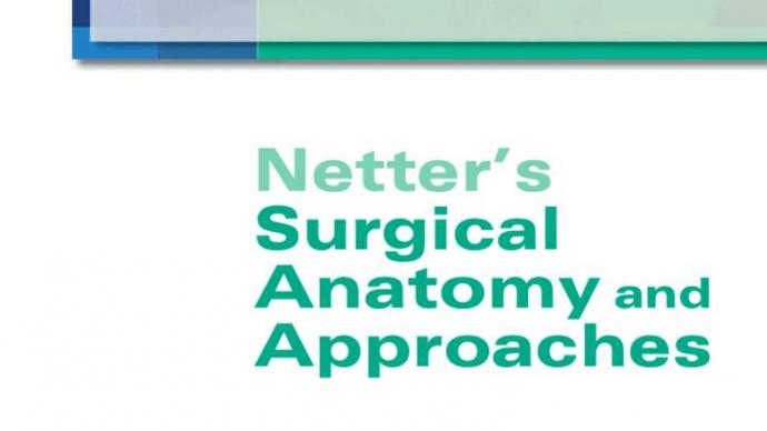 Анатомия и оперативная хирургия Netter