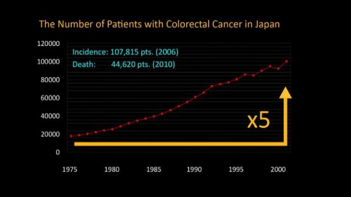 Optimised Colon Cancer Treatment - японский рекомендации по лечению колоректального рака 