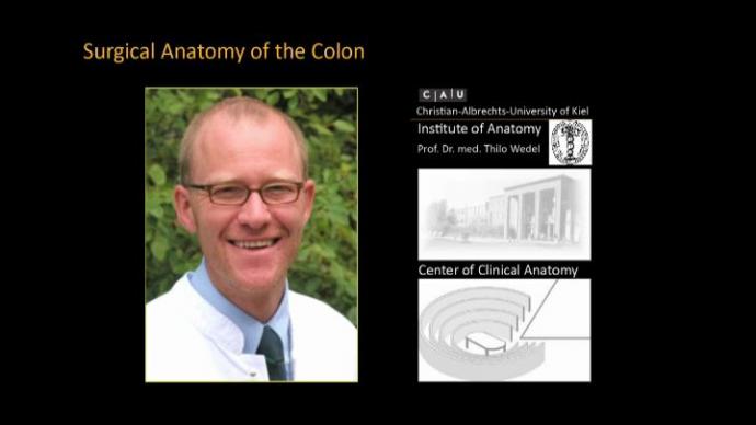 Optimised Colon Cancer Treatment - Хирургическая эмбриология и анатомия 