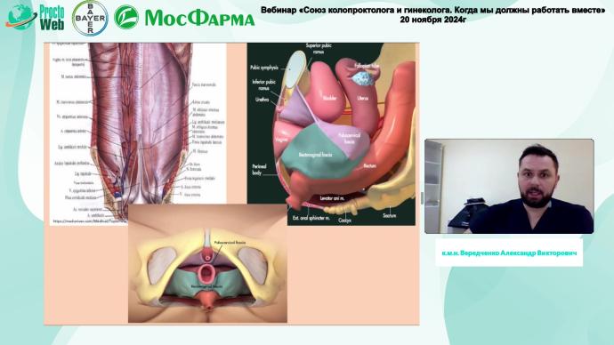 Вередченко А.В. - Пролапс органов малого таза. Взгляд гинеколога.