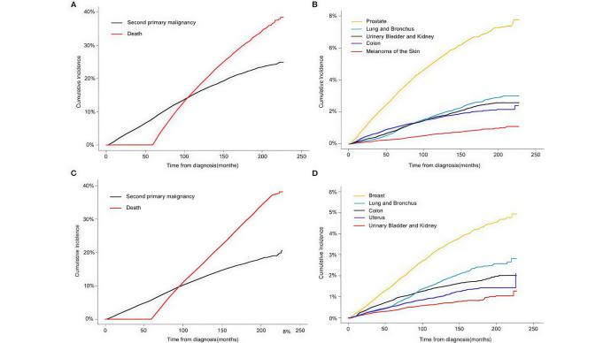  Риск вторичных ЗНО у пациентов с колоректальным раком после колэктомии
