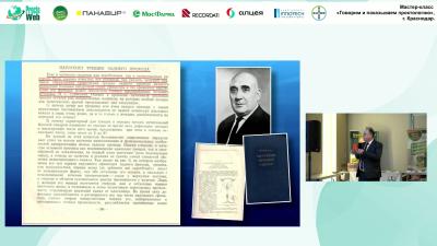 Половинкин В.В. - Малая проблема, рождающая большую трагедию